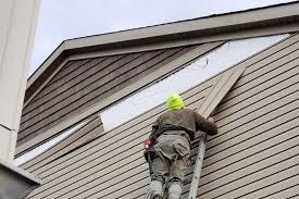 Custom Trim and Detailing for Siding in Ricardo, TX